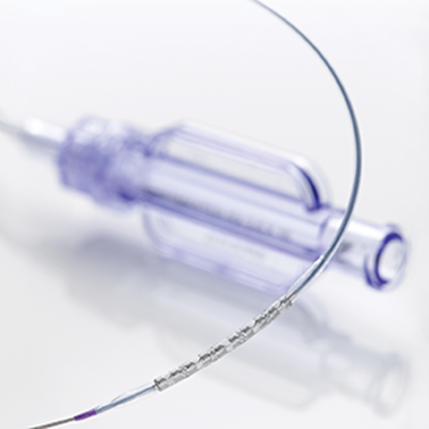 GRAFTMASTER RX Система коронарного стент-графта