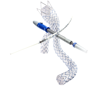 Система стент-графта различных типоразмеров Medtronic Endurant II/Iis 