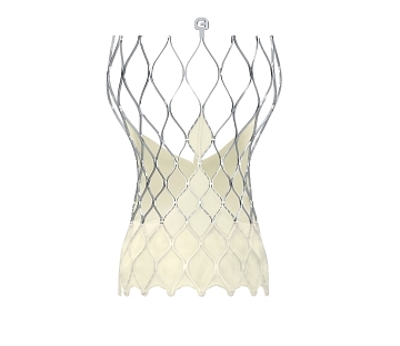 Клапан аортальный для транскатетерной системы Medtronic CoreValve Evolut PRO