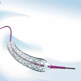 Стенты с лекарственным покрытием Xience Xpedition 48 (Abbott Vascular)